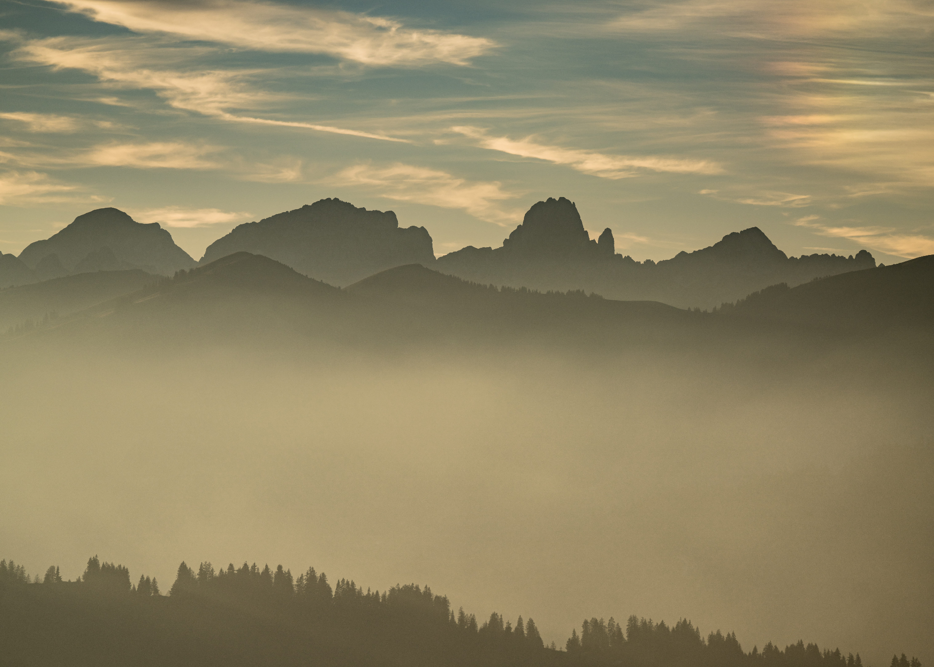 Karriere bei Picobello